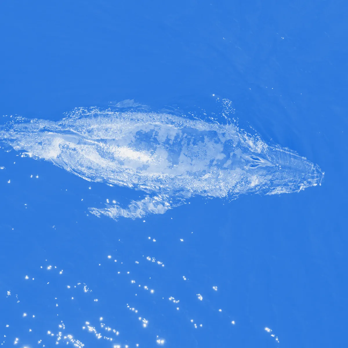 Why Applied ML Matters More Than Ever